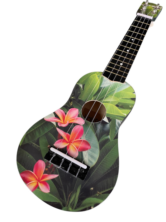 Holysmoke Paradise Ukulele 21” 12 frets 4 Strings Beginner Kids Student