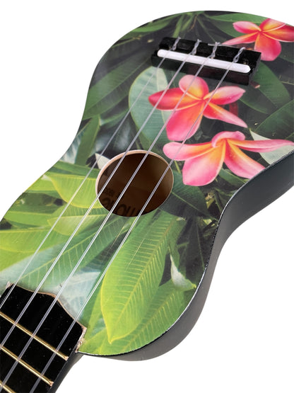 Holysmoke Paradise Ukulele 21” 12 frets 4 Strings Beginner Kids Student