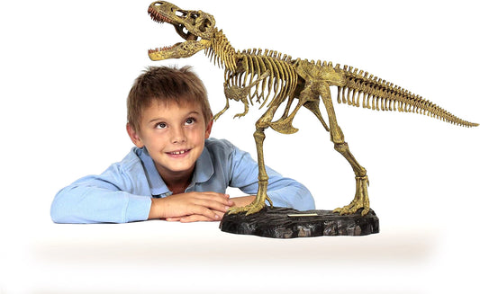 Special Offer Dr. Steve Hunters T. Rex Dinosaur Replica Skeleton Model 30" 1:15 Scale Uncle Milton