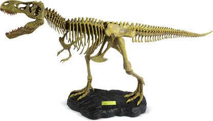 Special Offer Dr. Steve Hunters T. Rex Dinosaur Replica Skeleton Model 30" 1:15 Scale Uncle Milton